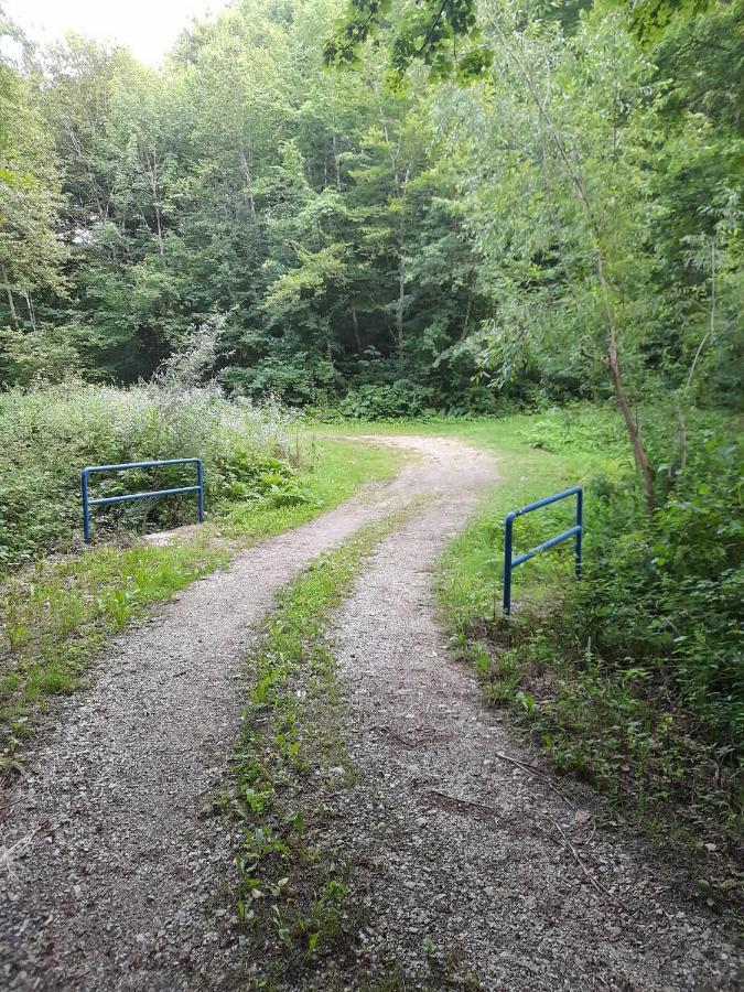 فيلا Peace Creek سلوني المظهر الخارجي الصورة