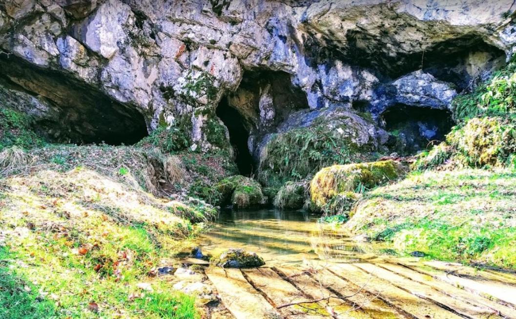 فيلا Peace Creek سلوني المظهر الخارجي الصورة