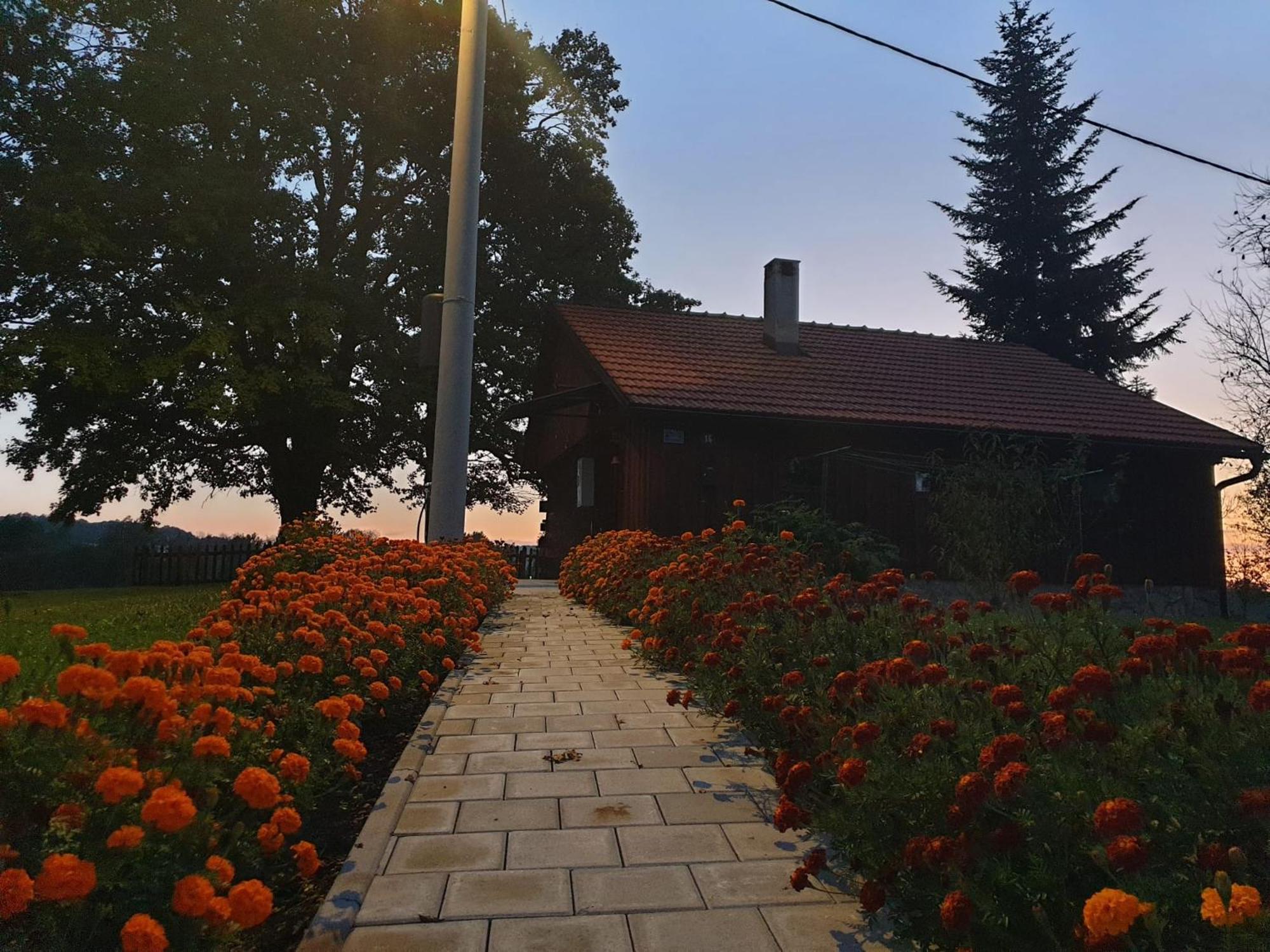 فيلا Peace Creek سلوني المظهر الخارجي الصورة